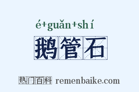鹅管石是什么意思的图片